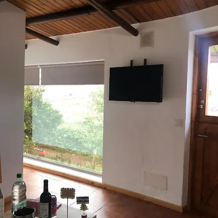 Los Viejitos En