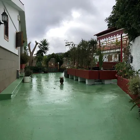 Los Viejitos En Firgas