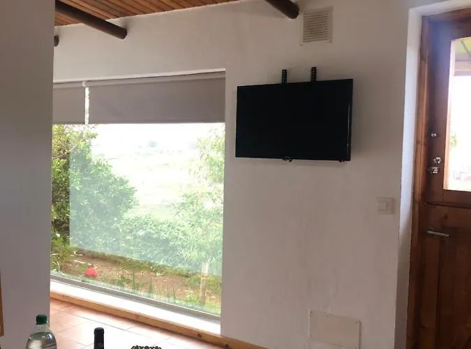 Viejitos En