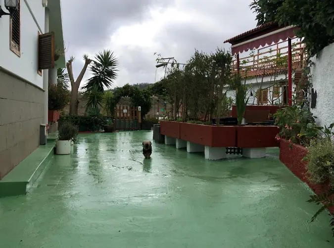 Viejitos En Firgas