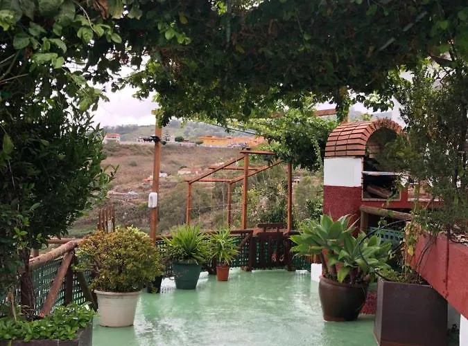 Viejitos En Firgas