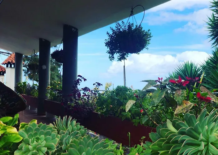 Viejitos En Vakantiehuis *