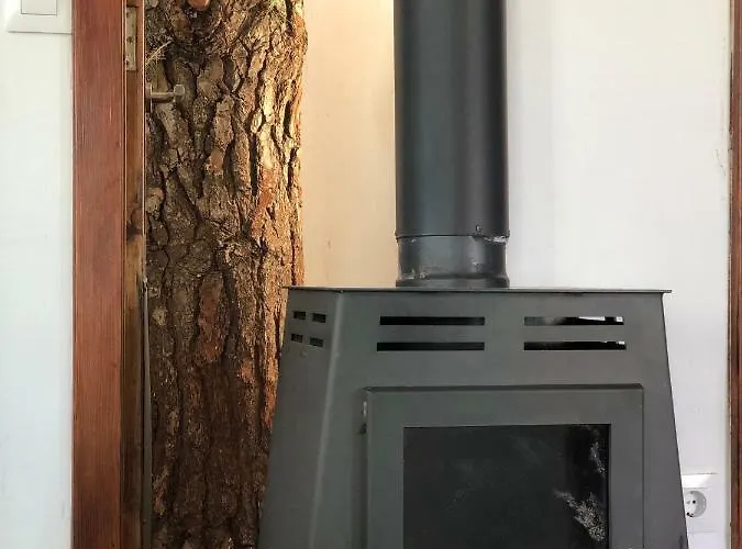 Viejitos En Vakantiehuis
